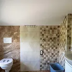 Apartment Ema