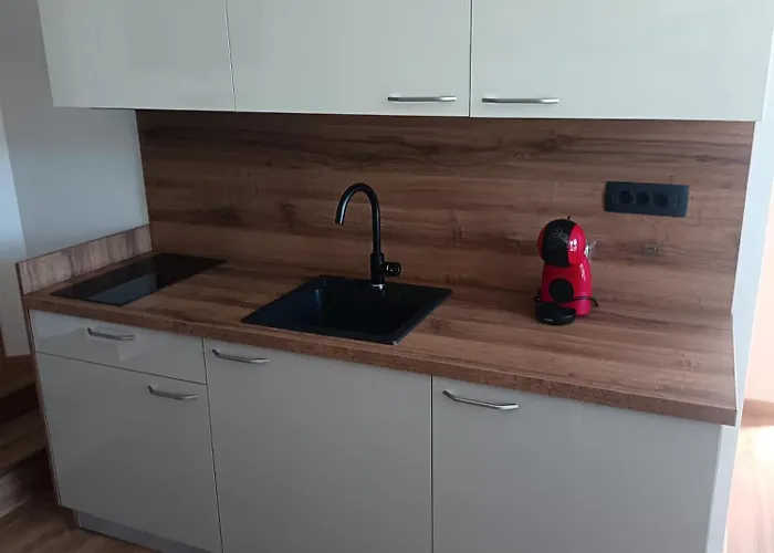 Appartement Ema Podčetrtek