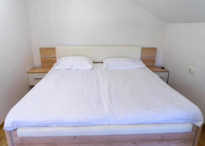 Ema 포드체트르테크